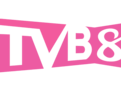 香港TVB8
